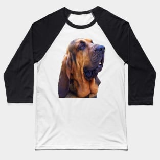 Hunting dog - Bloodhound Baseball T-Shirt